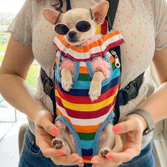 Front Facing Small Dog Puppy Carrier Legs Out Rainbow