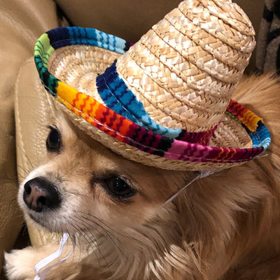 Small Dog Chihuahua Mexican Sombrero Hat Chihuahua Clothes and Accessories at My Chi and Me