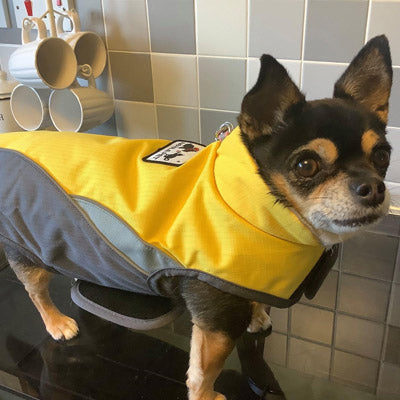 Small Dog Waterproof Reflective Adjustable Velcro Coat Yellow and Grey - My Chi and Me
