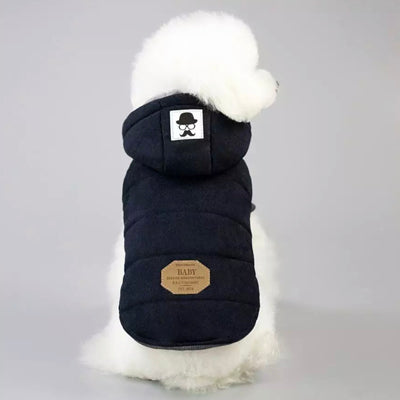 Super Soft Padded Chihuahua or Small Dog Coat Black 4 Sizes SALE