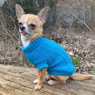 Small Dog Soft Cable Jumper Turquoise 7 Sizes