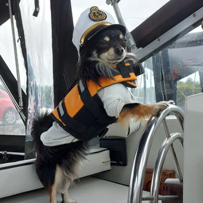 Small Dog Cream ribbed turtleneck jumper