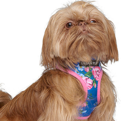 Pink and Blue Floral Burst Harness by Urban Pup - My Chi and Me
