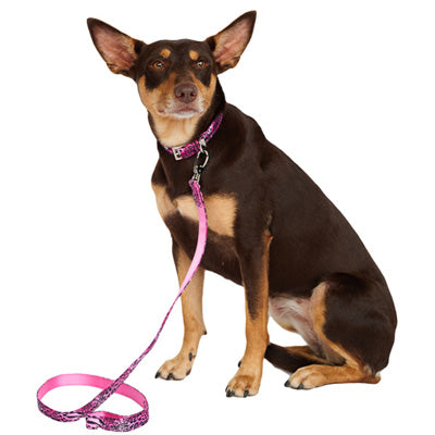 Urban Pup Pink Leopard Print Dog Collar