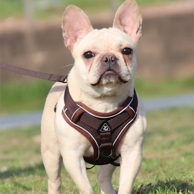 Tough 4 Point Adjustable Slipover Treks & Trails Action Harness Lead Set Chocolate