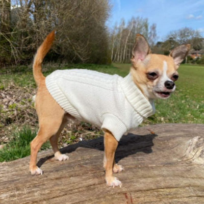 Small Dog Soft Cable Jumper Cream 7 Sizes