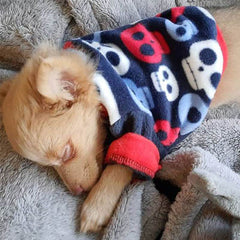 Chihuahua Puppy Fleece Black with Blue Red and White Skulls Design