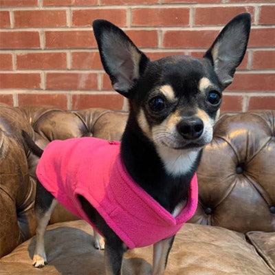 Chihuahua or Small Dog Fleece Jumper with D Rings For Leash Pink - My Chi and Me