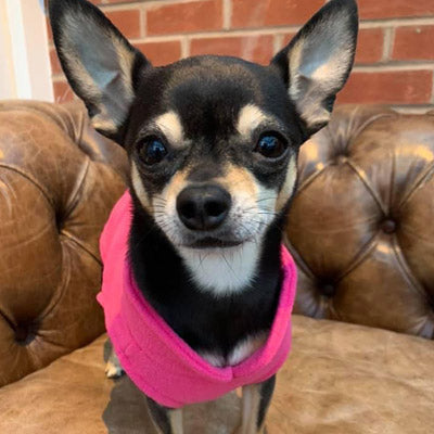 Chihuahua or Small Dog Fleece Jumper with D Rings For Leash Pink - My Chi and Me