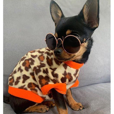 Chihuahua Puppy Fleece Leopard Print With Orange - 4 SIZES