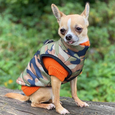 Chihuahua or Small Dog Coat Green Camouflage Gilet - My Chi and Me