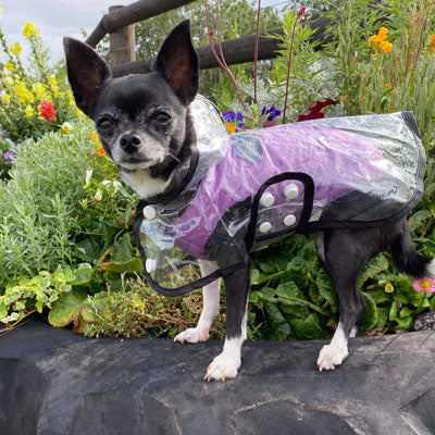 Water Resistant Padded Quilted Purple Dog Gilet