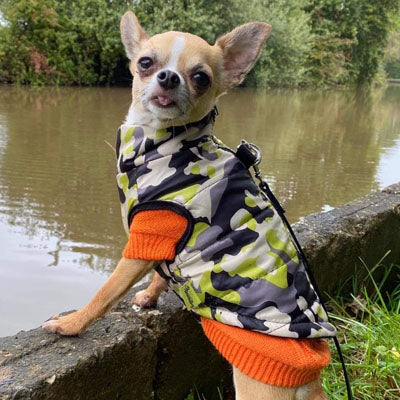 Chihuahua or Small Dog Coat Jungle Camouflage Gilet - My Chi and Me