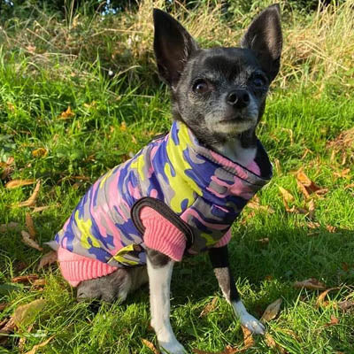 Premium Lime, Navy and Pink Camouflage Water Resistant Padded Gilet Style Dog Coat