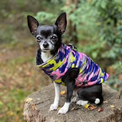 Premium Lime, Navy and Pink Camouflage Gilet Small Dog Coat
