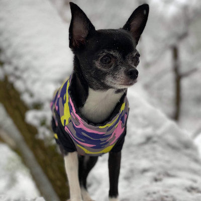 Premium Lime, Navy and Pink Camouflage Gilet Small Dog Coat