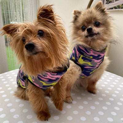 Premium Lime, Navy and Pink Camouflage Gilet Small Dog Coat