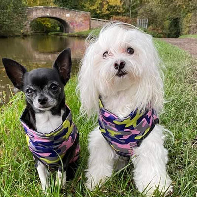 Premium Lime, Navy and Pink Camouflage Gilet Small Dog Coat