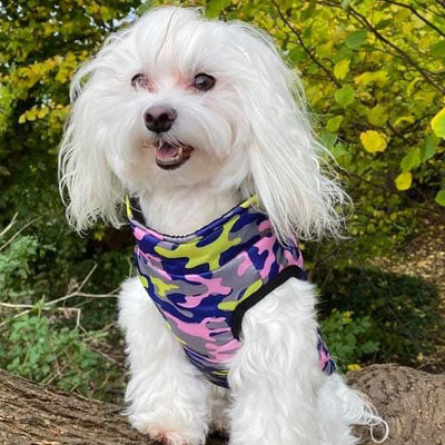 Premium Lime, Navy and Pink Camouflage Gilet Small Dog Coat