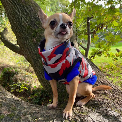 Premium Union Camouflage Red and Navy Gilet Small Dog Coat