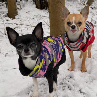 Premium Lime, Navy and Pink Camouflage Gilet Small Dog Coat