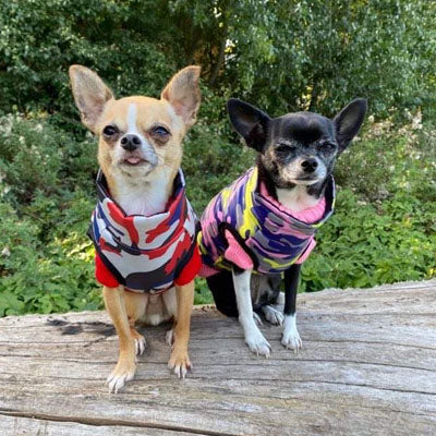Premium Lime, Navy and Pink Camouflage Water Resistant Padded Gilet Style Dog Coat