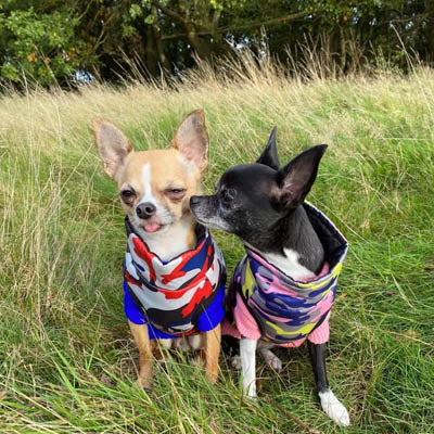 Premium Lime, Navy and Pink Camouflage Gilet Small Dog Coat