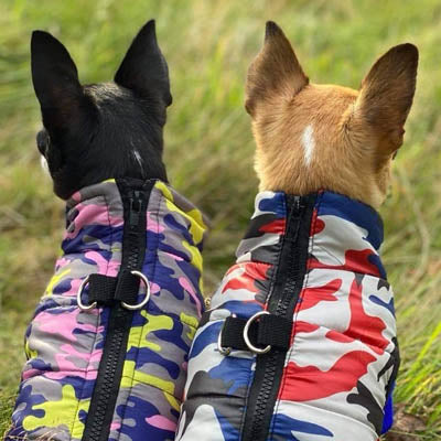 Premium Lime, Navy and Pink Camouflage Gilet Small Dog Coat