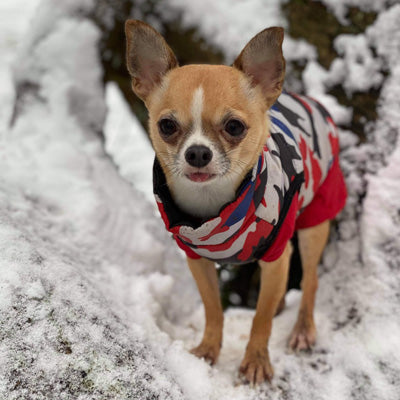 Premium Union Camouflage Red and Navy Gilet Small Dog Coat