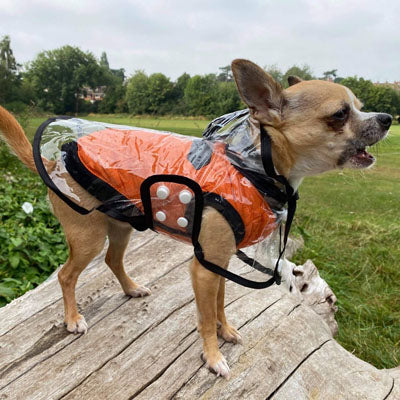 Water Resistant Padded Quilted Orange Dog Gilet