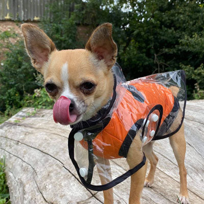 Water Resistant Padded Quilted Orange Dog Gilet
