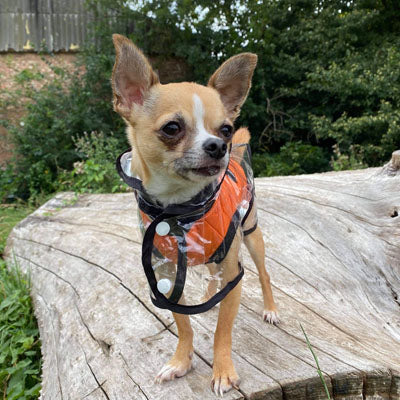 Water Resistant Padded Quilted Orange Dog Gilet
