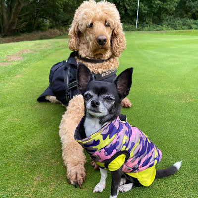 Chihuahua or Small Dog Coat Lime Navy and Pink Camouflage Gilet