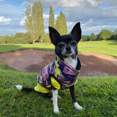 Chihuahua or Small Dog Coat Lime Navy and Pink Camouflage Gilet