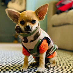 Red Checked Tartan Harness by Urban Pup