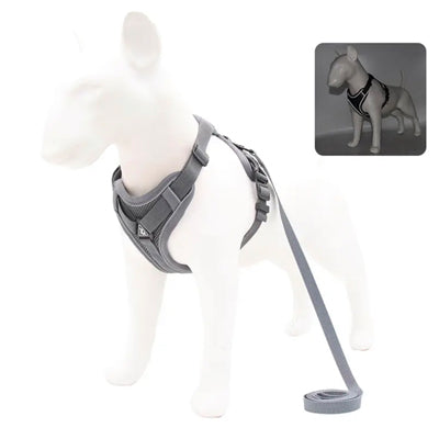 Tough 4 Point Adjustable Slipover Treks & Trails Action Harness Lead Set Anthracite Grey