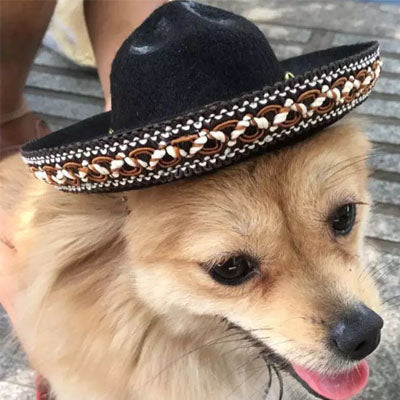 Chihuahua or Small Dog Black Mexican Sombrero Hat with Bobbles