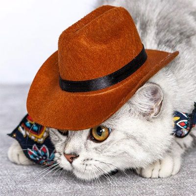 Brown Stetson Cowboy Hat for Small Dog or Cat
