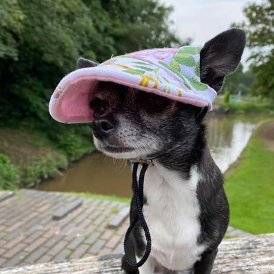 Floral Print Baseball Cap for Chihuahua Small Dog or Puppy