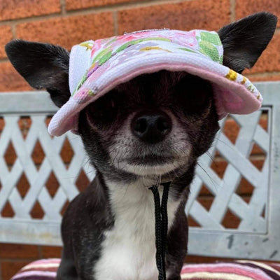 Floral Print Baseball Cap for Chihuahua Small Dog or Puppy