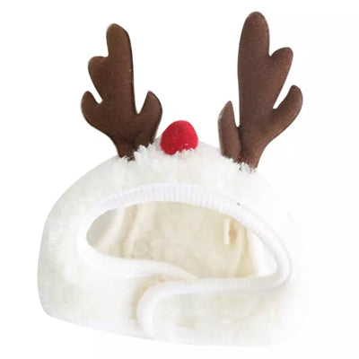 Christmas Hats and Bibs for Small Dogs