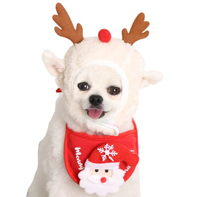Christmas Hats and Bibs for Small Dogs
