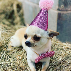 Party Hat & Bow Tie Set for Small Dogs 4 COLOURS