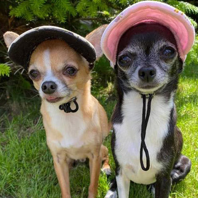 Camouflage Baseball Cap for Chihuahua Small Dog or Puppy