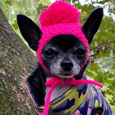 Pom Pom Hat Small Dog Puppy or Chihuahua