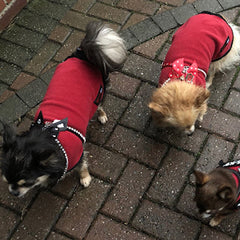 HOTTERdog Fleece Water Repellent Dog Coat 10 Inch