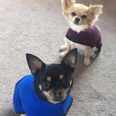 HOTTERdog© Fleece Water Repellent Dog Coat 10 Inch