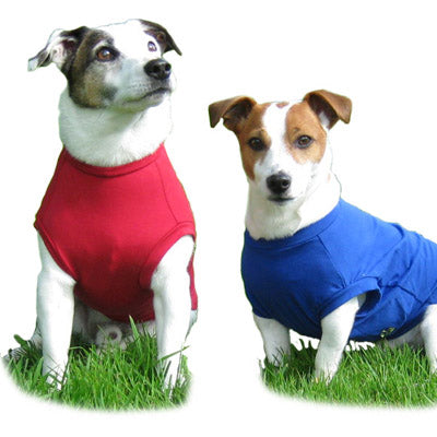 Equafleece® 14 T-Shirt Body HOTTERdog ChihuahuaSmall Dog Tankie Vest 6 Colours Size Small