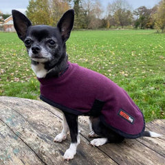 HOTTERdog© Fleece Water Repellent Dog Coat 10 Inch