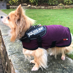 HOTTERdog© Fleece Water Repellent Dog Coat 12 Inch